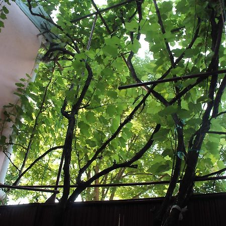 Hostel Old City Sololaki Tbilisi Buitenkant foto