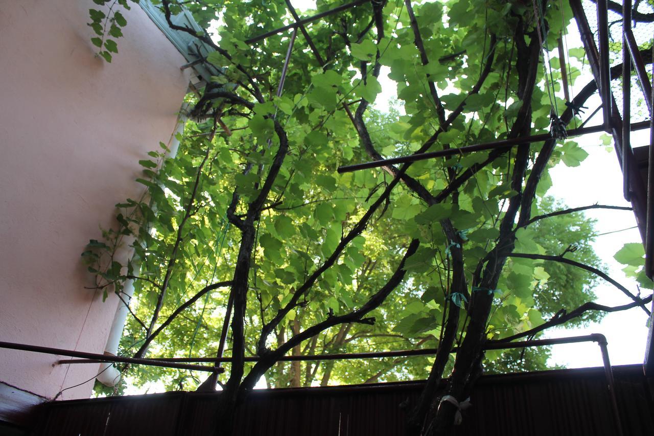Hostel Old City Sololaki Tbilisi Buitenkant foto
